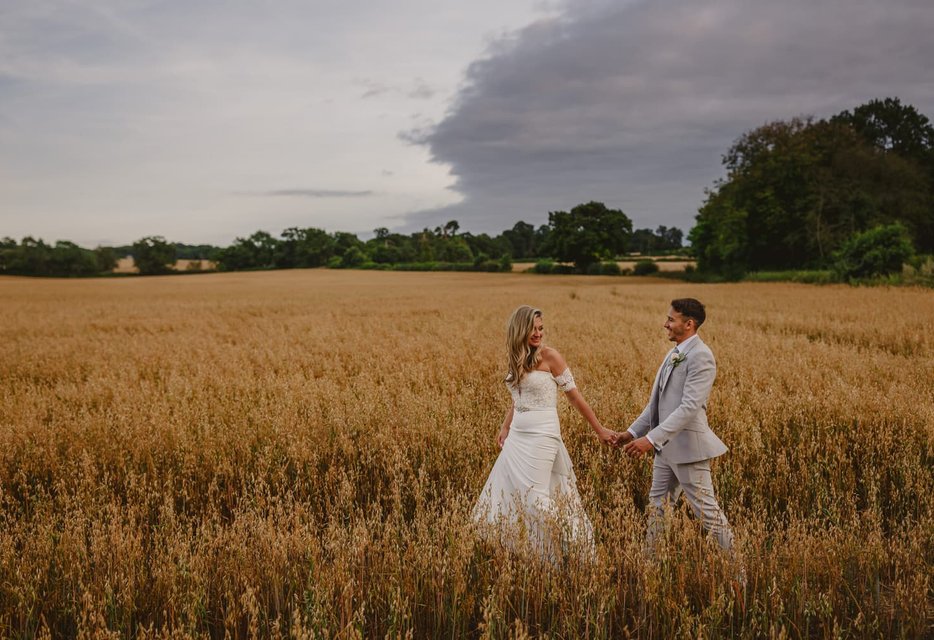 Bride and groom with alpacas in the Hertfordshire countryside